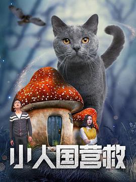 波多野结衣影视
