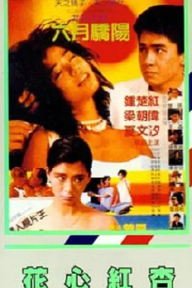 国产精品探花在线播放