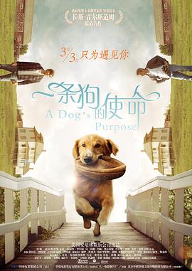 乱欲老师