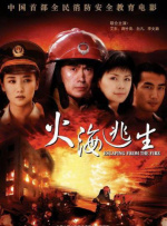 国内精品久久久久久久