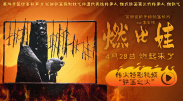 桃谷绘里香在线播放