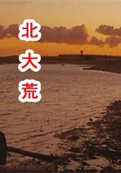 星的女人