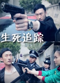 台湾佬视频
