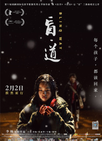 蜜臀久久99精品久久久久久