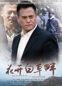 aa级片