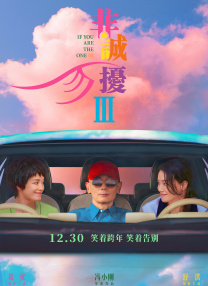 精品国产三级a∨在线