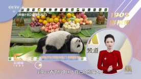 实际上被收藏的清纯女