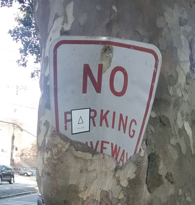No Parking sign being obscured as a tree grows over it