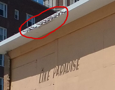 "like paradise" sign with a circle around the letters forming the shadow