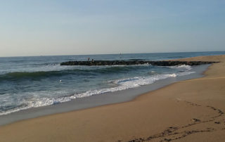 photo of deserted beach