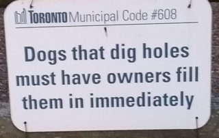 Sign saying "Dogs that dig holes must have owners fill them in immediately"