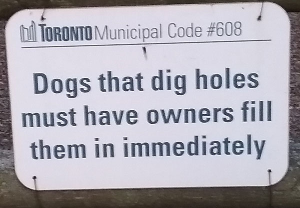 Sign that says "Dogs that dig holes must have owners fill them in immediately."