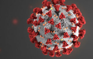 microscope view of a virus